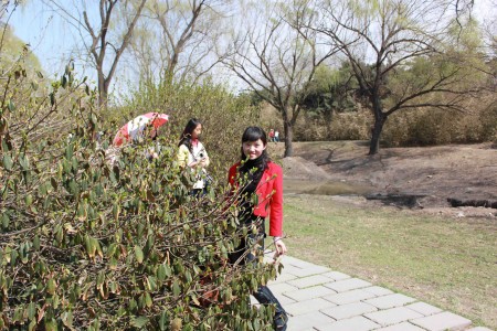 玉渊潭2